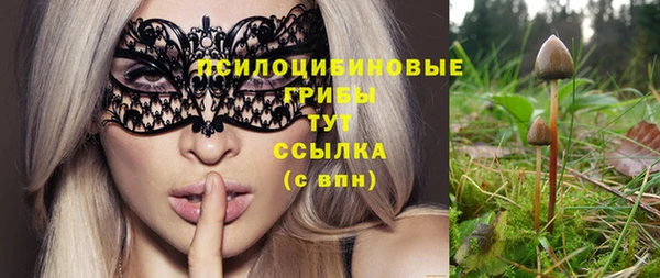 не бодяженный Медногорск